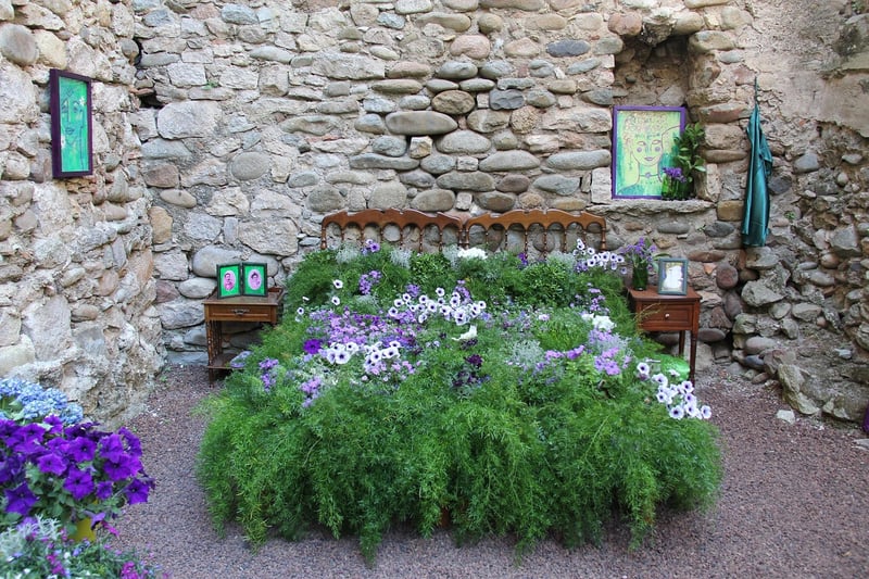 Creative plant arrangements