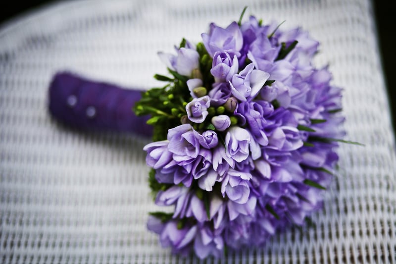 Autumn Flowers